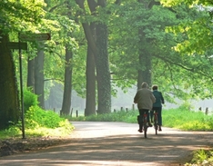 Radwege in Deutschland