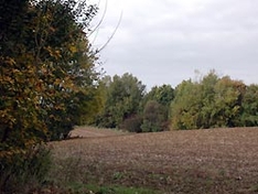 Altmark