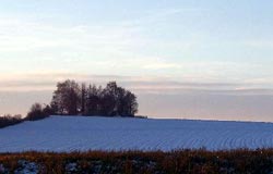 Dithmarschen