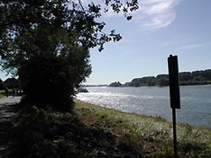 Rhein