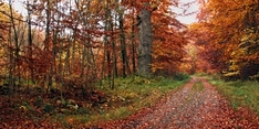 Wanderwege in Deutschland