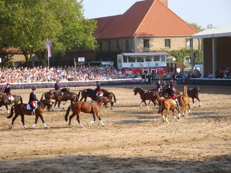 Reiterinnen und Reiter bei einer Vorführung in einer großen Reitsportarena vor Publikum