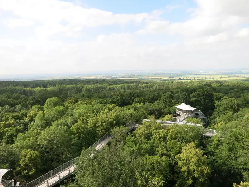 Bergwipfelpfad Nationalpark Hainich