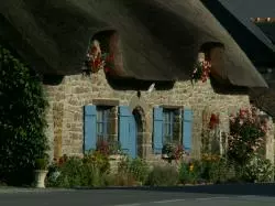 Ferienhaus vermieten
