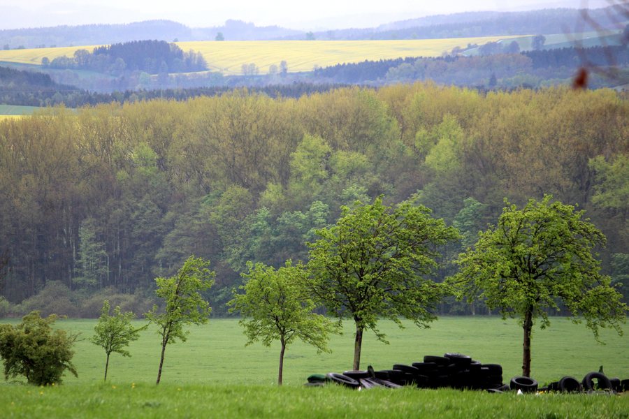 Hügellandschaft bei Mißlareuth