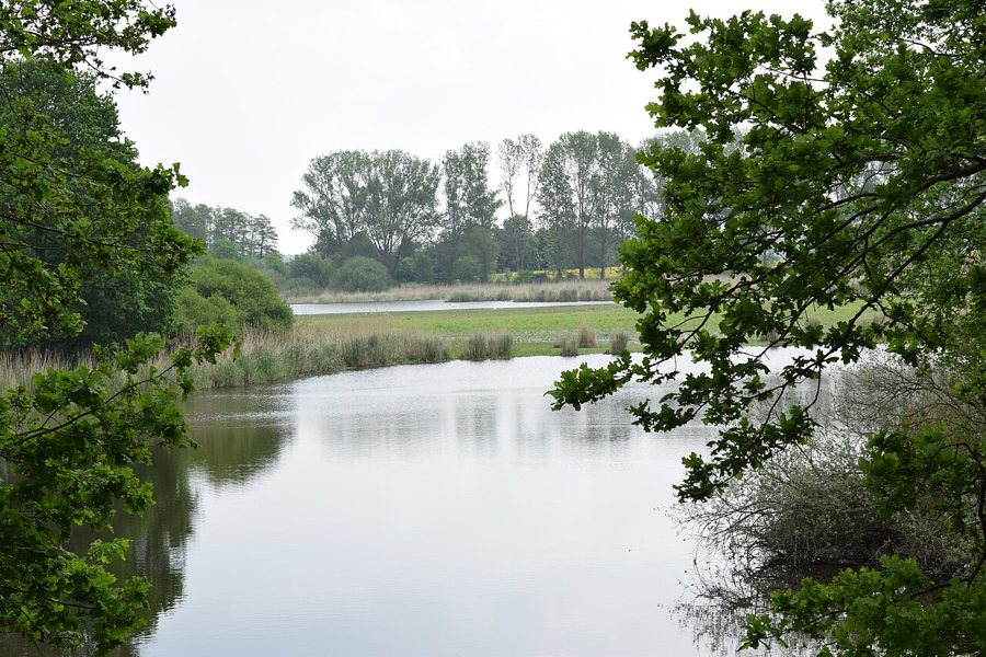 Alte Elbe zwischen Kannenberg und Berge in der Altmark, mit Ufervegetation und offener Flusslandschaft.