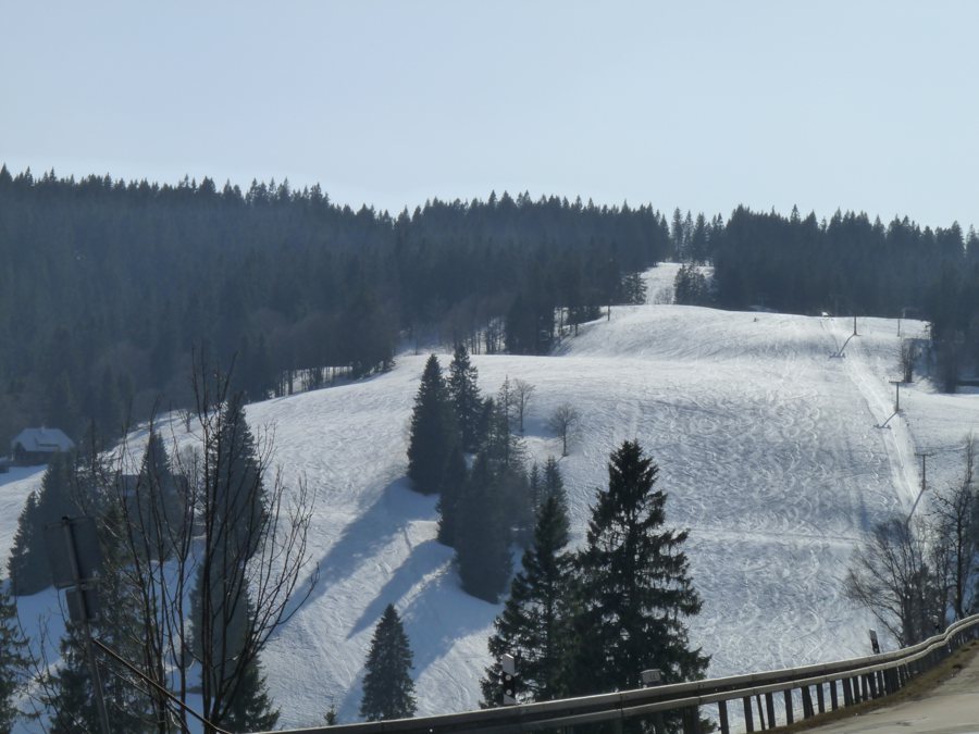 Skipiste am Feldberg mit Lifttrasse und bewaldetem Hang.