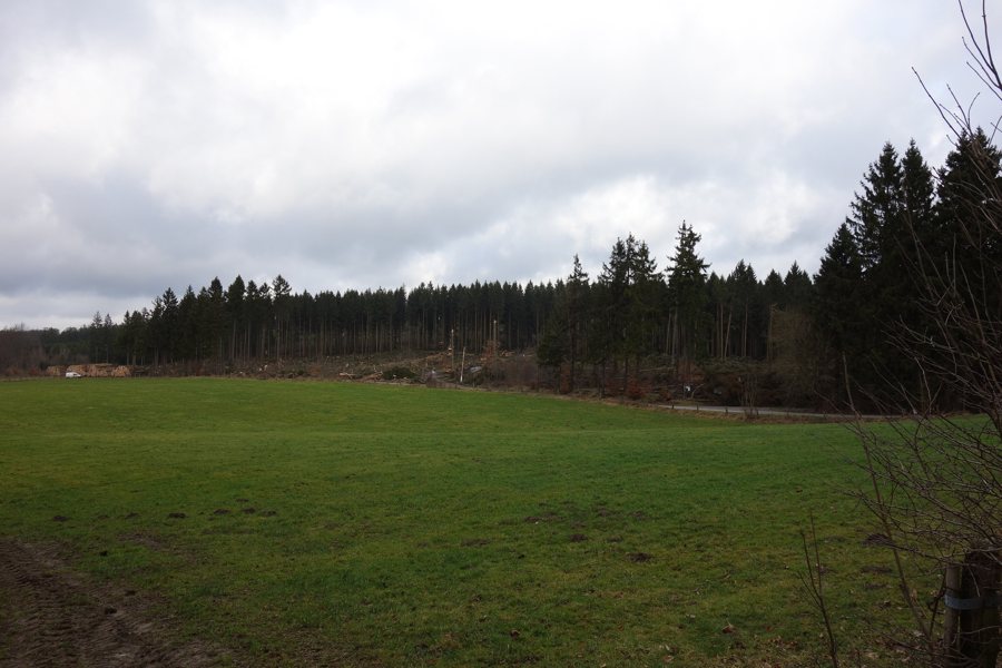 File:Sturm Friederike Krautkopf bei Brilon-Madfeld 12.JPG