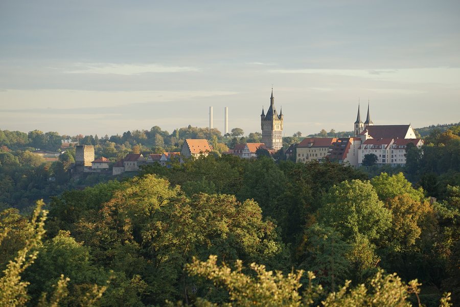 File:Bad Wimpfen - Altstadt - Ansicht vom Mühlwald (1).jpg