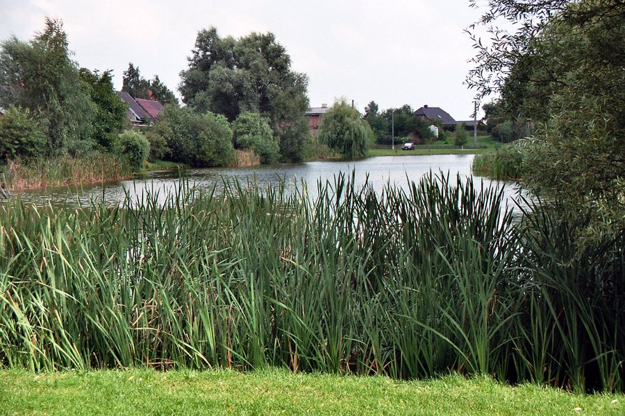 File:Zirzow, der See.jpg