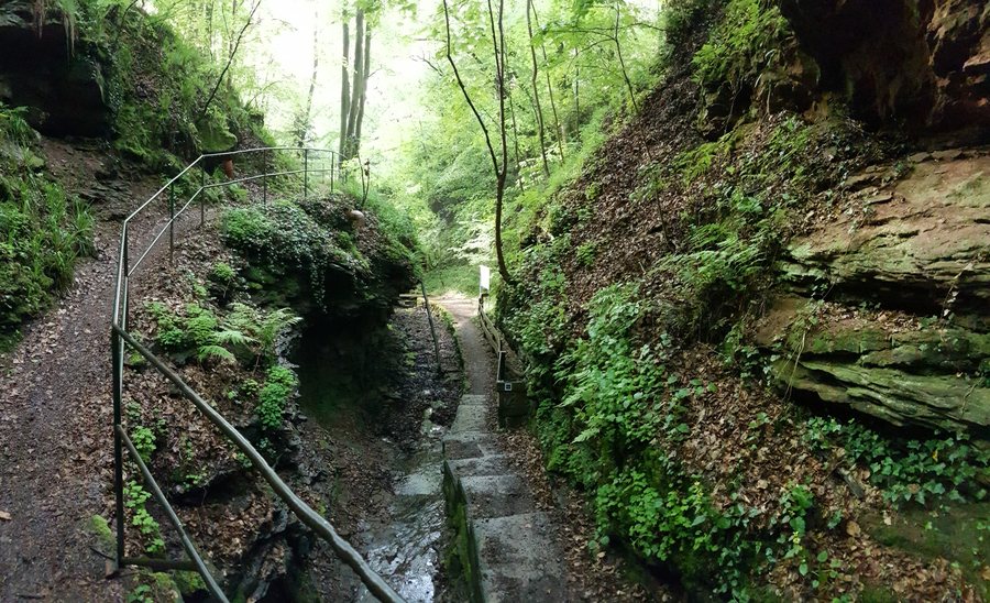 File:In der Seltenbachschlucht in Klingenberg am Main.jpg