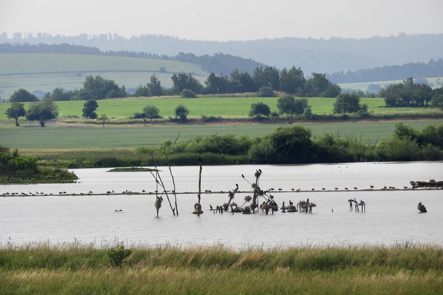 File:Naturschutzgebiet Rhäden bei Obersuhl und Bosserode im Landkreis Hersfeld-Rotenburg.jpg
