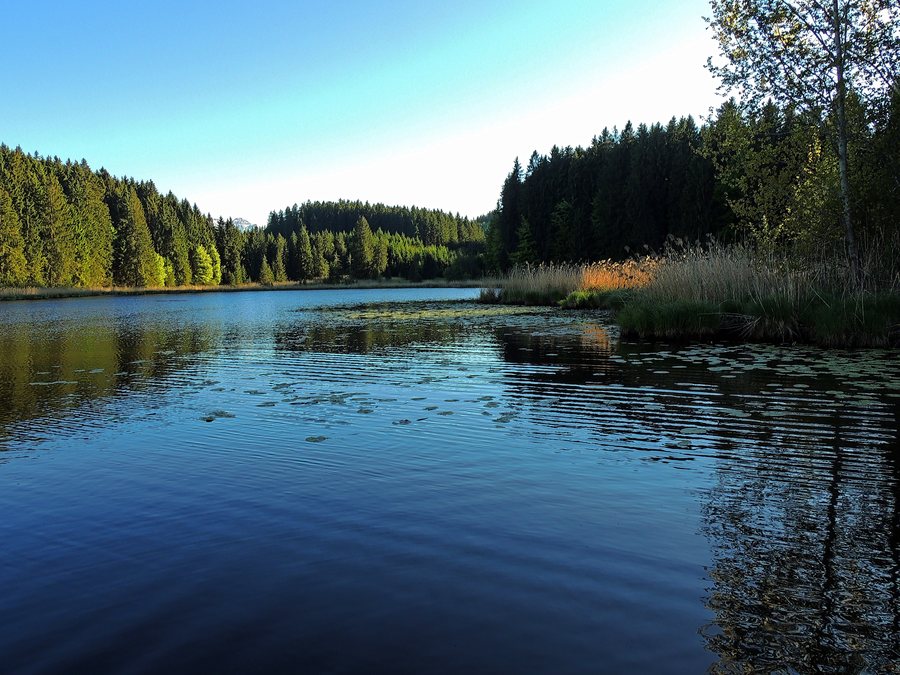 File:Wiki LSG Faulensee.jpg