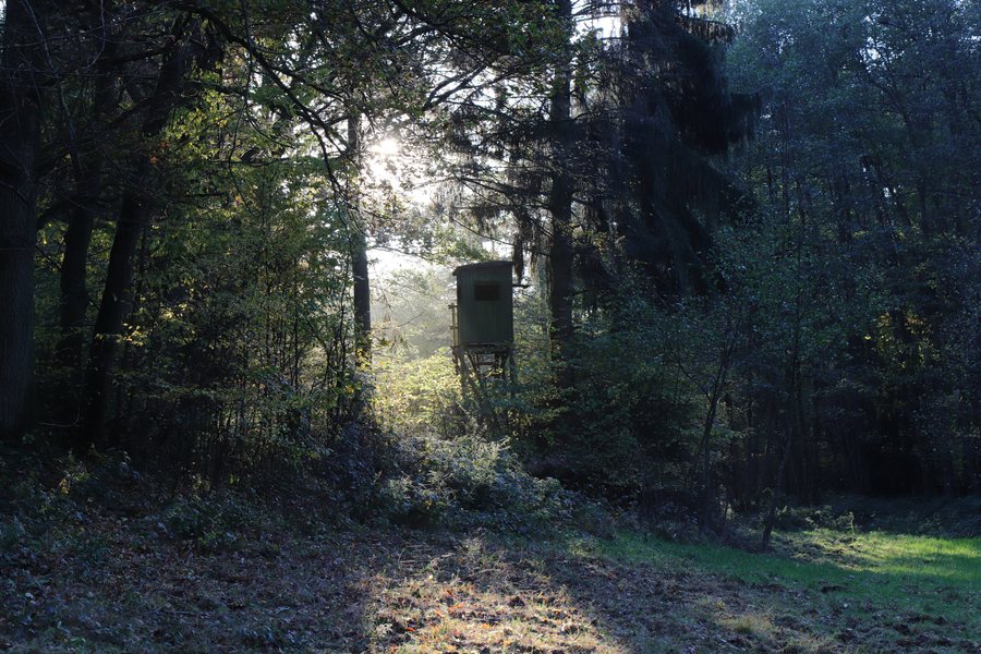 File:NSG-00380.01 Mönchberg, Aubachtal.jpg