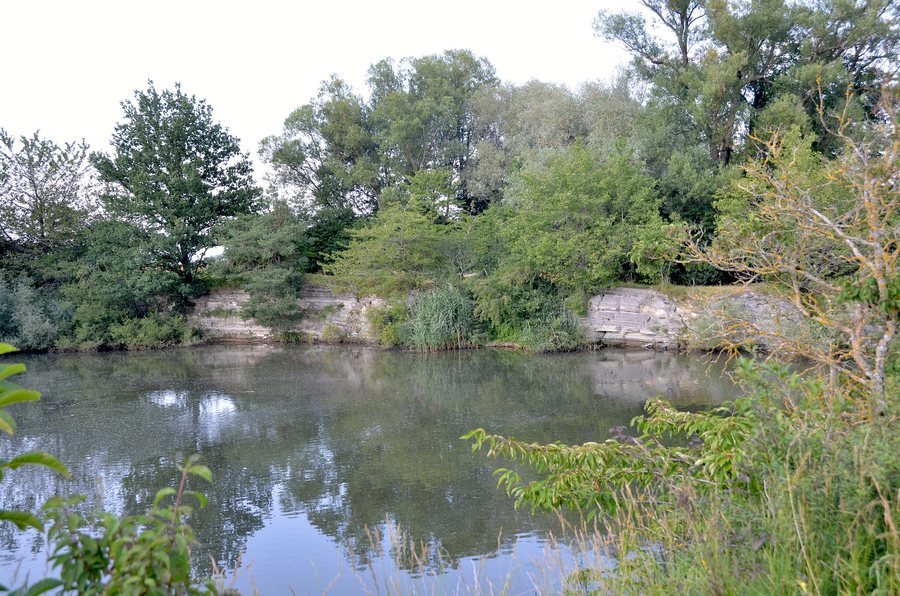 File:Aufg. Steinbruch im Gewann Lange Hecke (Endingen).jpg