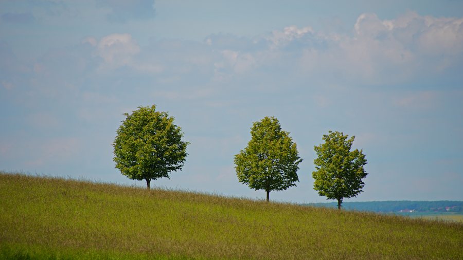 File:Geo-Naturpark Bergstraße-Odenwald Rund um die Veste Otzberg 01.jpg