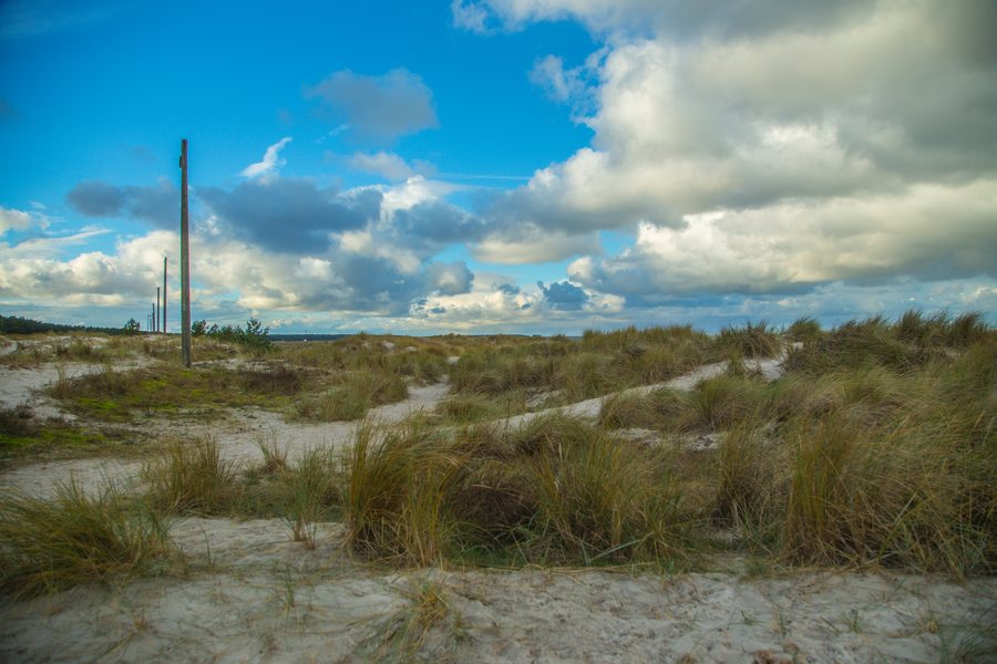 File:Prerow Duenen 04.jpg