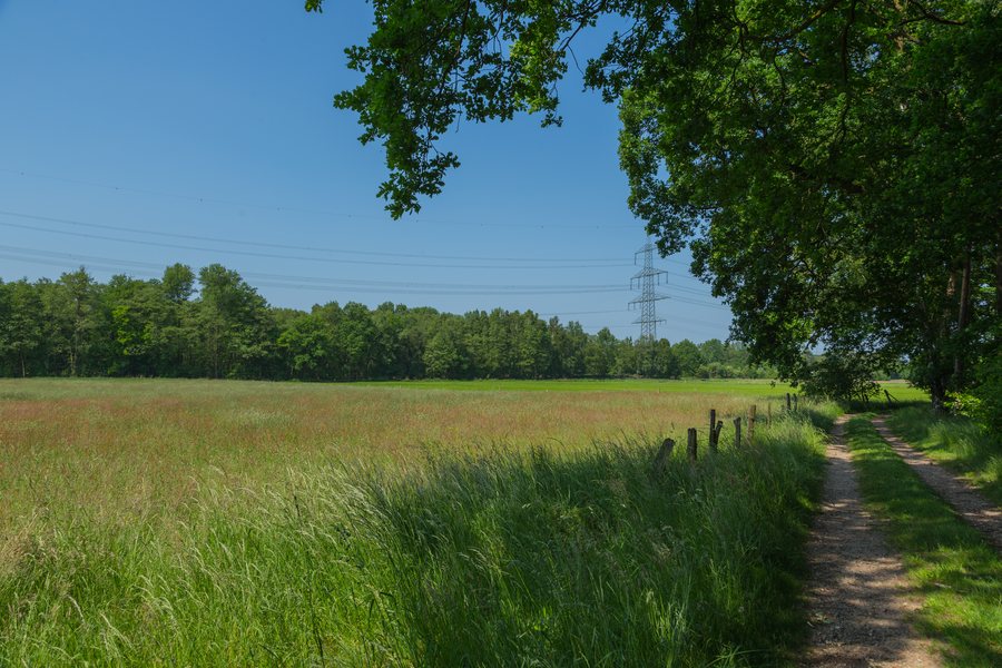 Westerkappeln Nature Reserve Düsterdieker Niederung