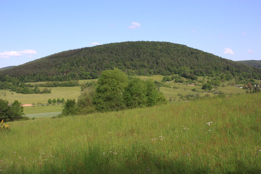 File:HoherBergAltenbuchSpessart.jpg