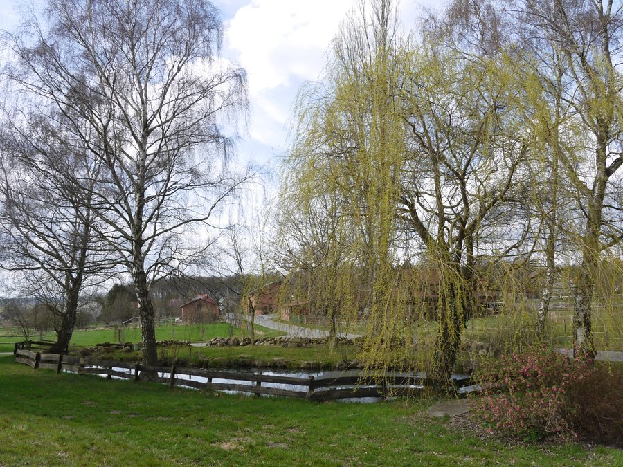 File:Leisten (Schnega) - Dorfteich mit Blick auf den Ort.jpg