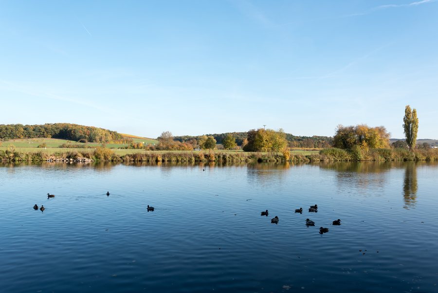 File:Wipfeld, Der Main-20161031-001.jpg
