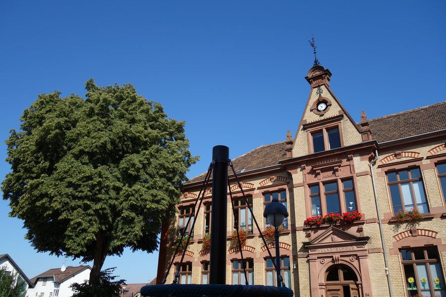 File:Goetheschule mit Lindenbaum.jpg