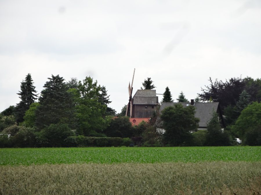 File:Windmühle quickborn gusborn 01.jpg