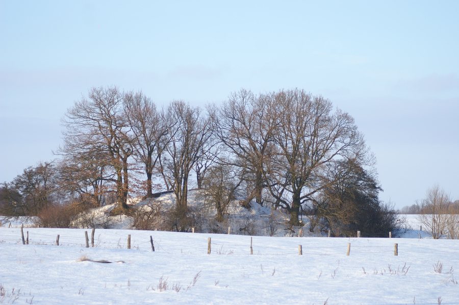File:Röckwitz Turmhügel Winter.JPG