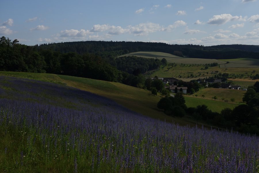 Mountain Heißer Kopf near Wüstems