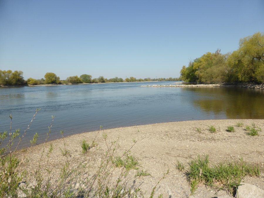 Donau-Auen bei Bogen, Lkrs. Straubing-Bogen