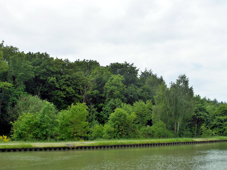 File:Fohlenstall - Haster Wald - MLK.JPG