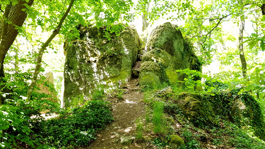 File:Hoher Stein Bernhardswald.jpg