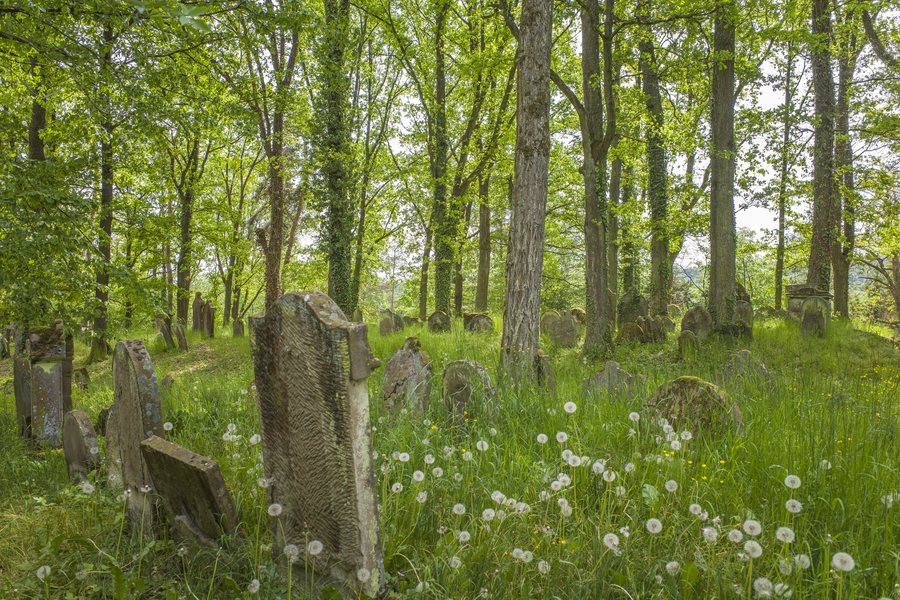 File:D-4-71-208-12 Jüdischer Friedhof Walsdorf 2.jpg