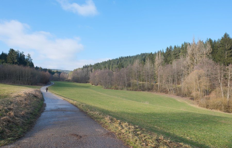 Landappbw 883118 4871 Teufenbachtal Niedereschach-Sinkingen