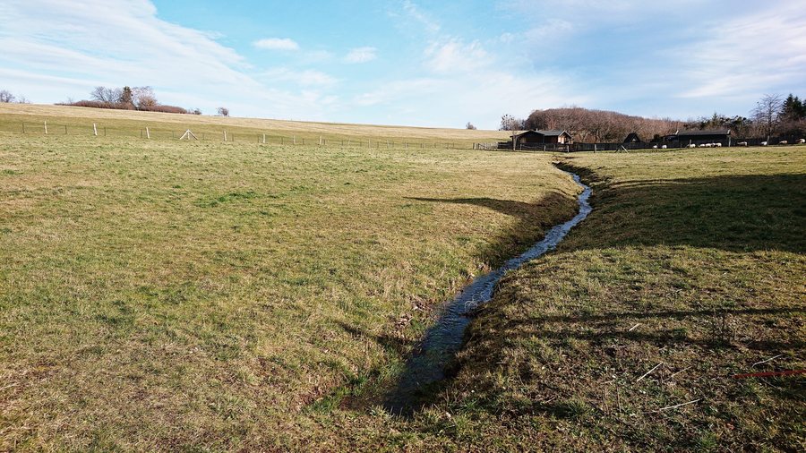 File:Oberlauf des Rammelsbaches.JPG