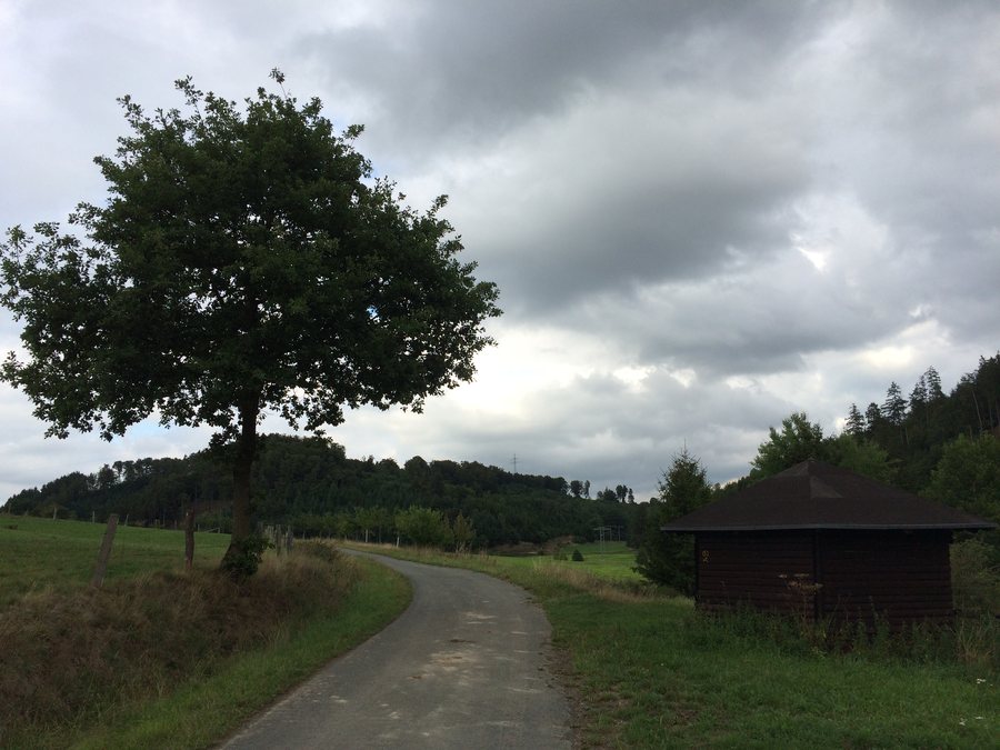 File:Radweg Buhtal-Hütte Bömighausen Rhena.JPG
