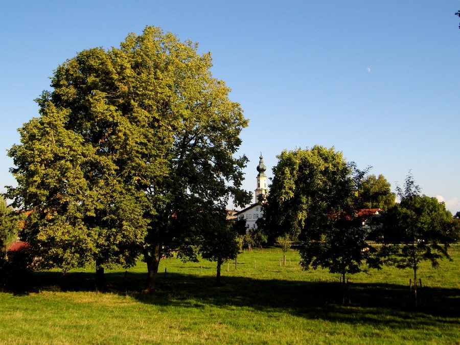 Höslwang, Kirchturm, gesehen von der Schönbrunner Straße