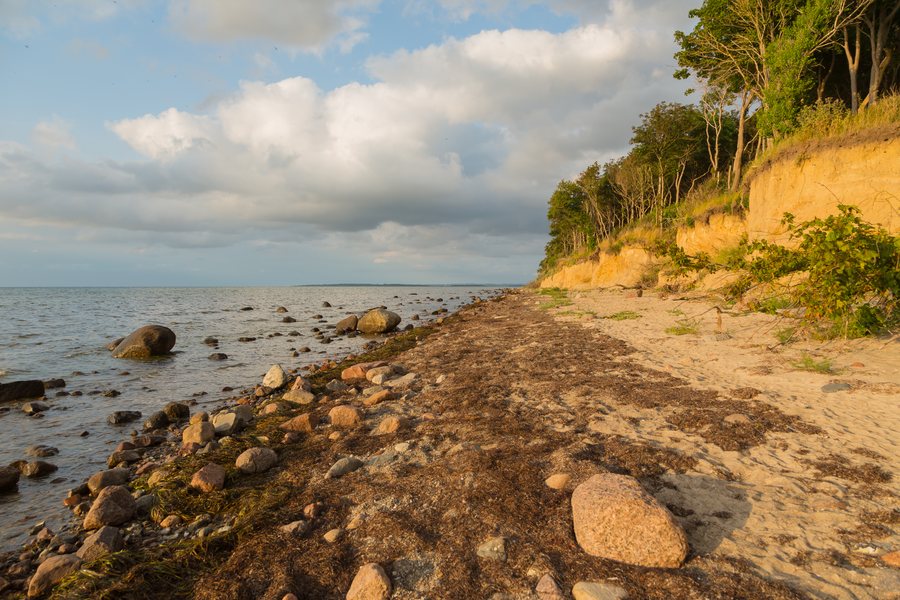 File:Insel Poel Am Schwarzen Busch Steilkueste 01.jpg