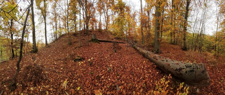 File:Obere Burg Obernburg (Weißenstein) 30.jpg