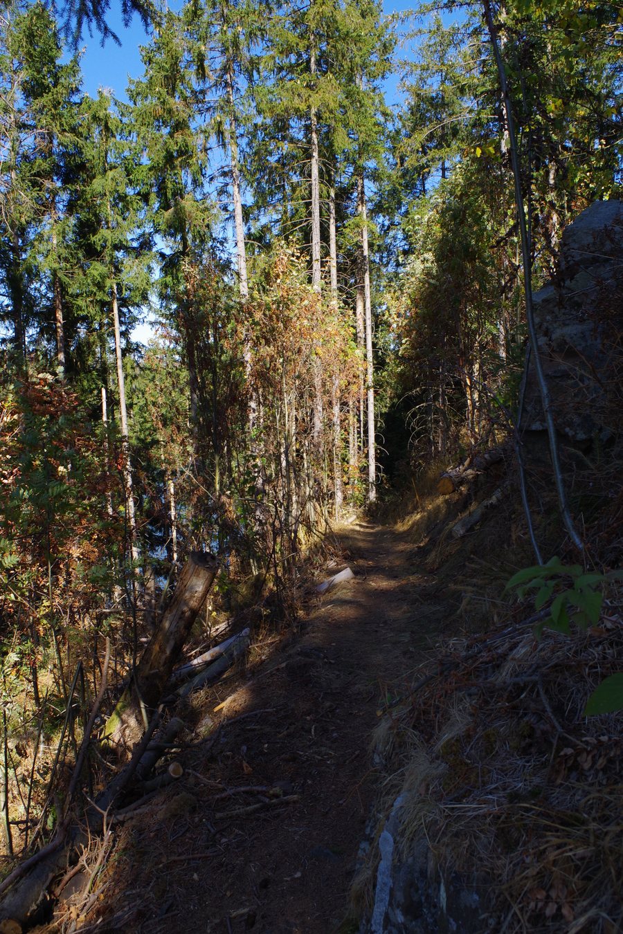 Naturpark Harz Sachsen-Anhalt - am Rundweg der Rappbodevorsperre bei Trautenstein