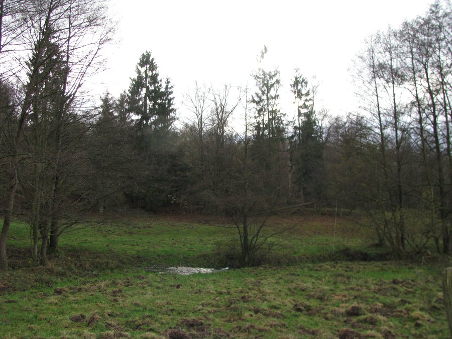 File:FFH4623-331,Bachtäler im Kaufunger Wald,Ingelheim-Bach,Nienhagen,Staufenberg,Landkreis Göttingen.jpg
