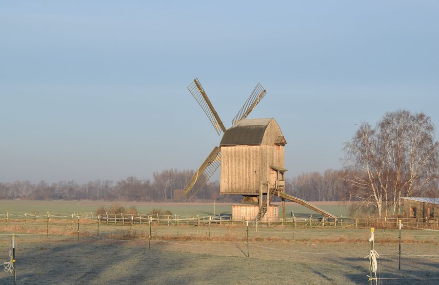 Windmühle in Dettum