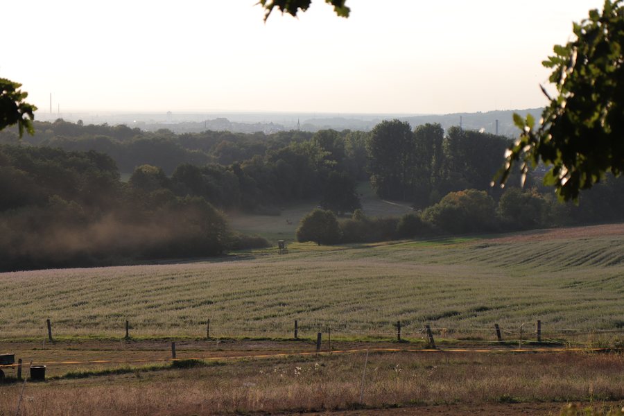 File:Goldbach Obergartenhof.jpg