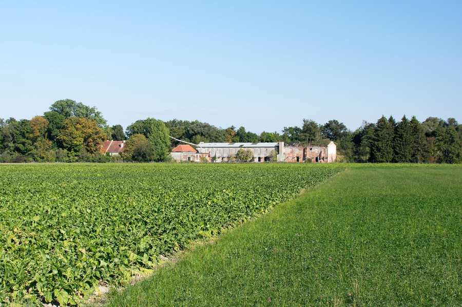 File:LSG Schmutterwäldchen Asbach Bäumenheim 0ß2.jpg