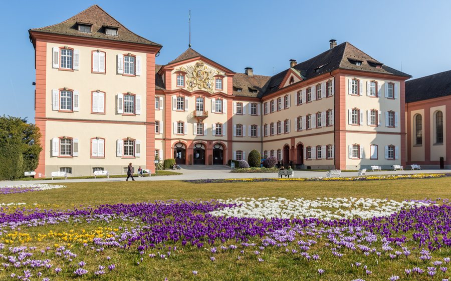 File:Blühende Krokusse und Schloss Mainau (Konstanz, 2015).jpg