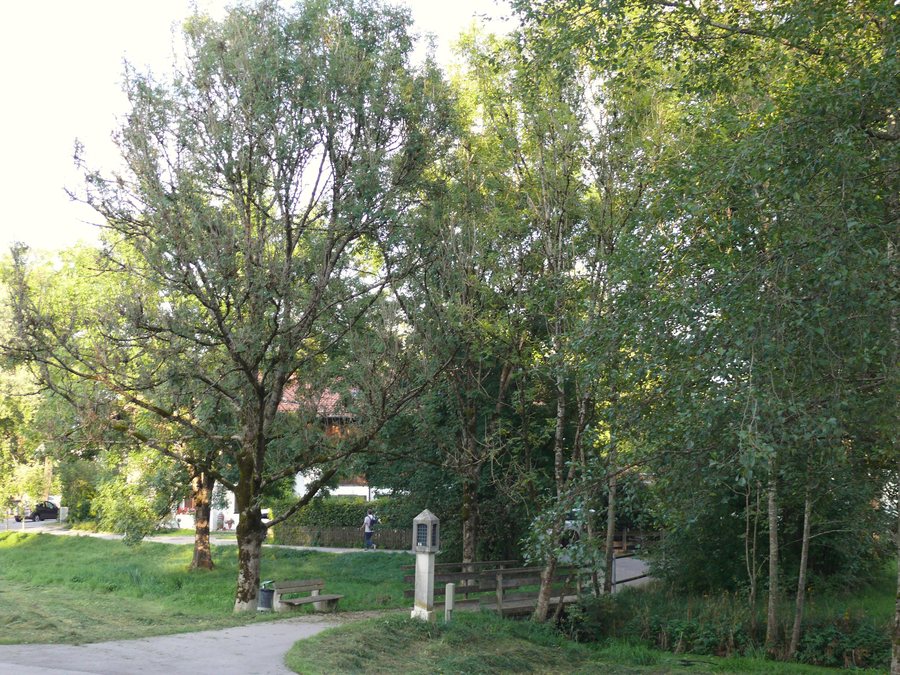 File:Hachinger Bach bei Kybergstraße - 2021-09-14 - 706b.jpg