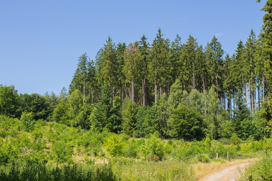 File:Diedrichshagen Kuehlung 02.jpg