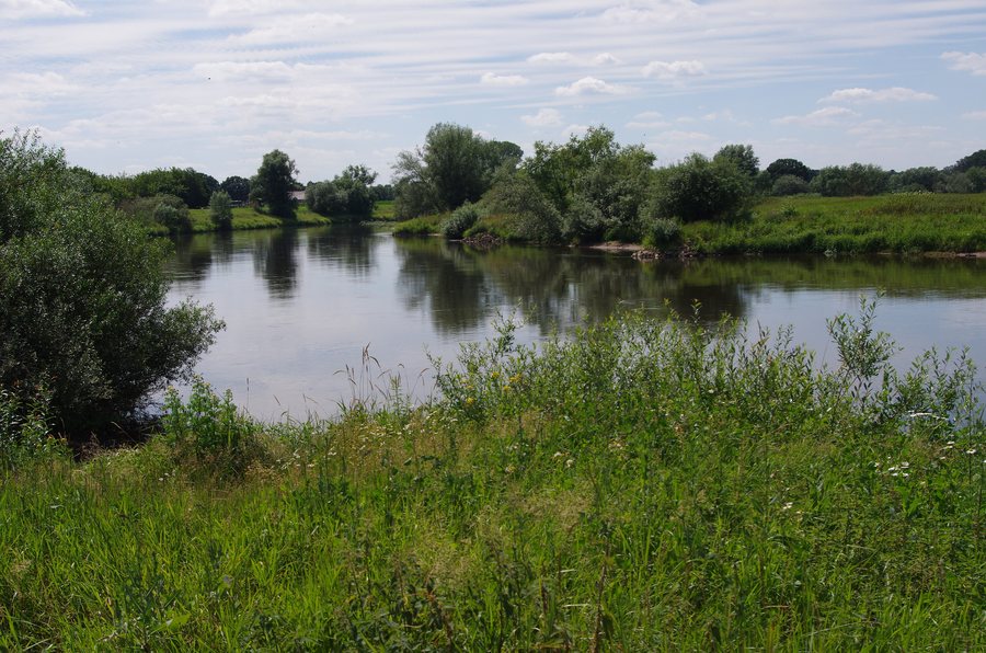 File:Allerschleife zwischen Wohlendorf und Hülsen.jpg