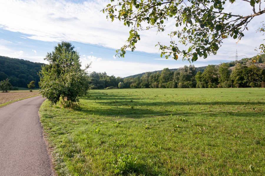 File:20150827 Mulfingen Naturschutzgebiet.jpg