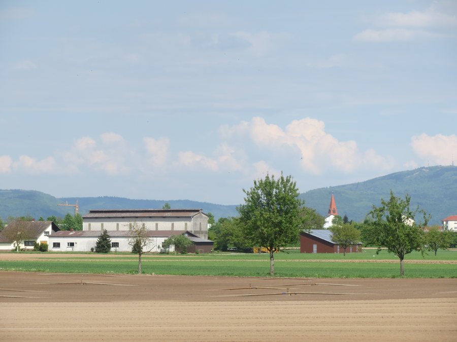 File:20140423Oftersheim.jpg